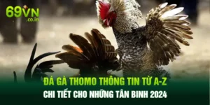 Đá Gà Thomo Thông Tin Từ A-Z Chi Tiết Cho Những Tân Binh 2024