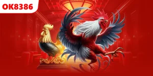 Đá Gà Chọi C1 – Khám Phá Giải Đấu Đỉnh Cao Nhất Hiện Nay